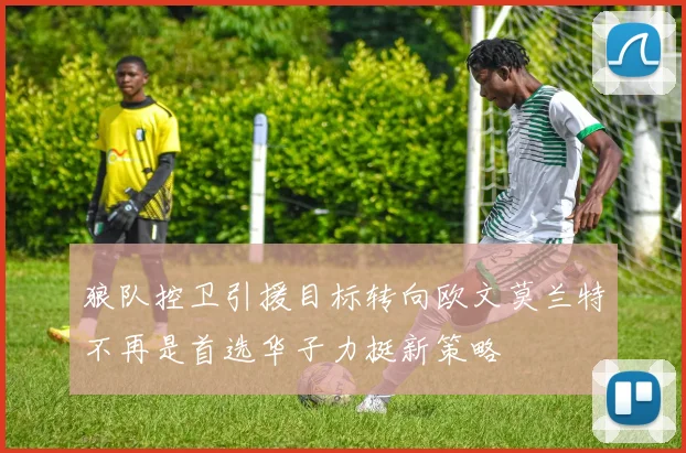 狼队控卫引援目标转向欧文莫兰特不再是首选华子力挺新策略