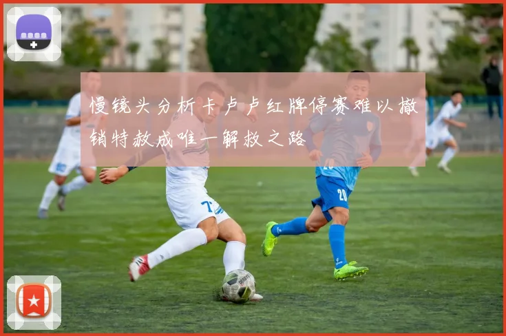 慢镜头分析卡卢卢红牌停赛难以撤销特赦成唯一解救之路